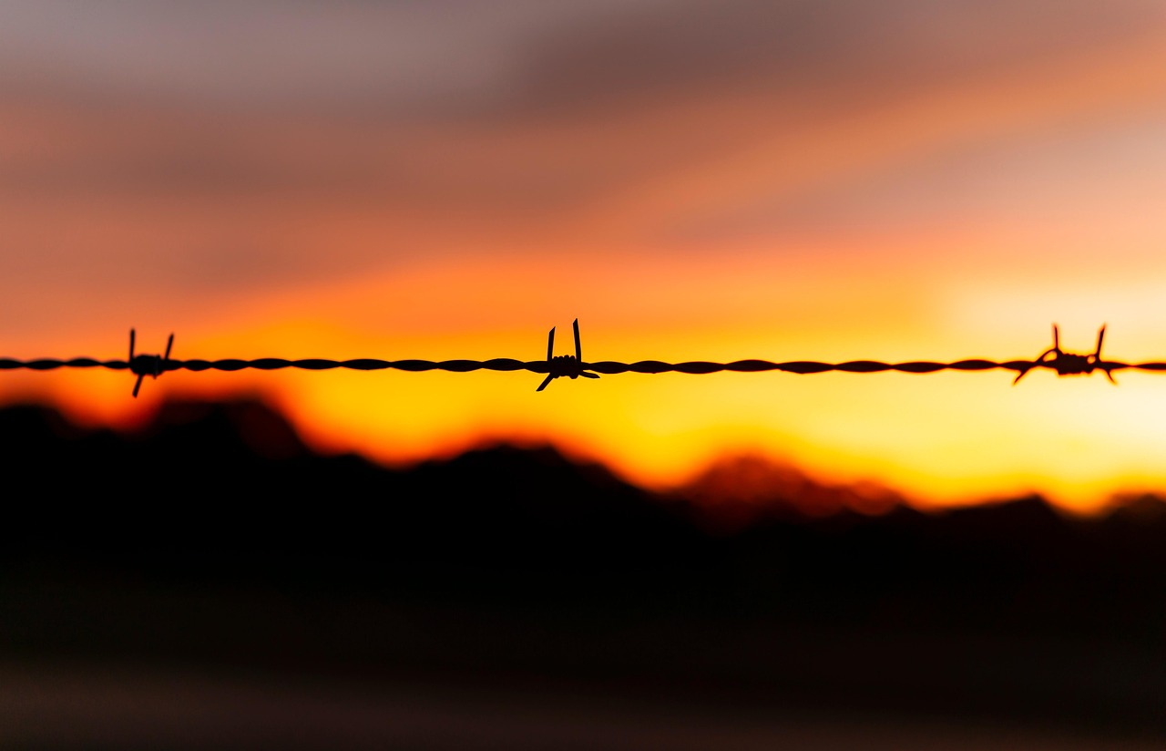 fencing